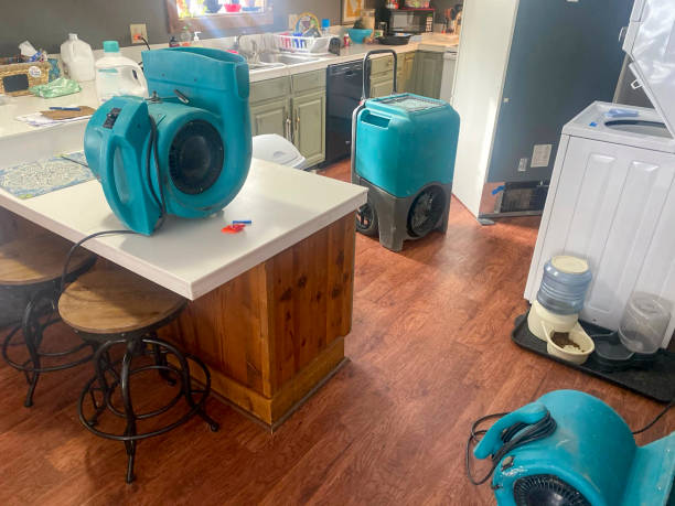 Best Local water damage restoration  in Glen Carbon, IL