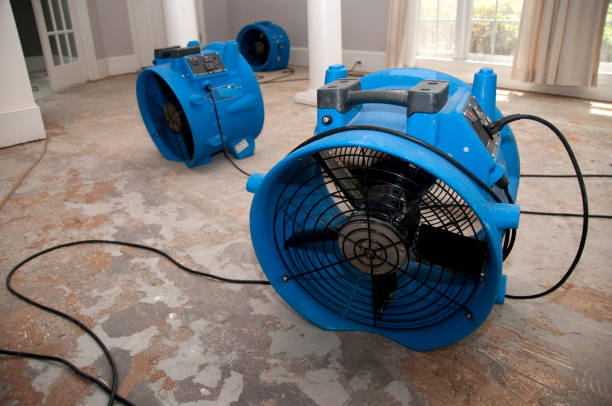 Best Carpet water damage restoration  in Glen Carbon, IL