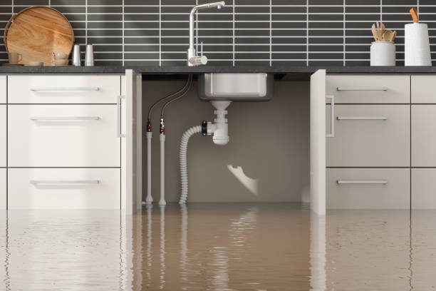 Best Flooded house restoration  in Glen Carbon, IL