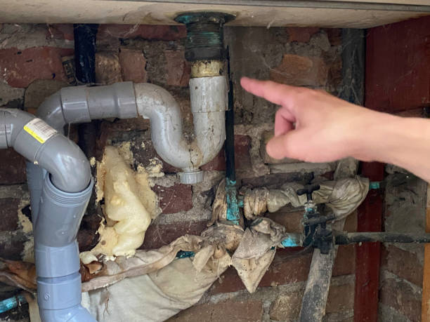 Best Water damage contractors near me  in Glen Carbon, IL